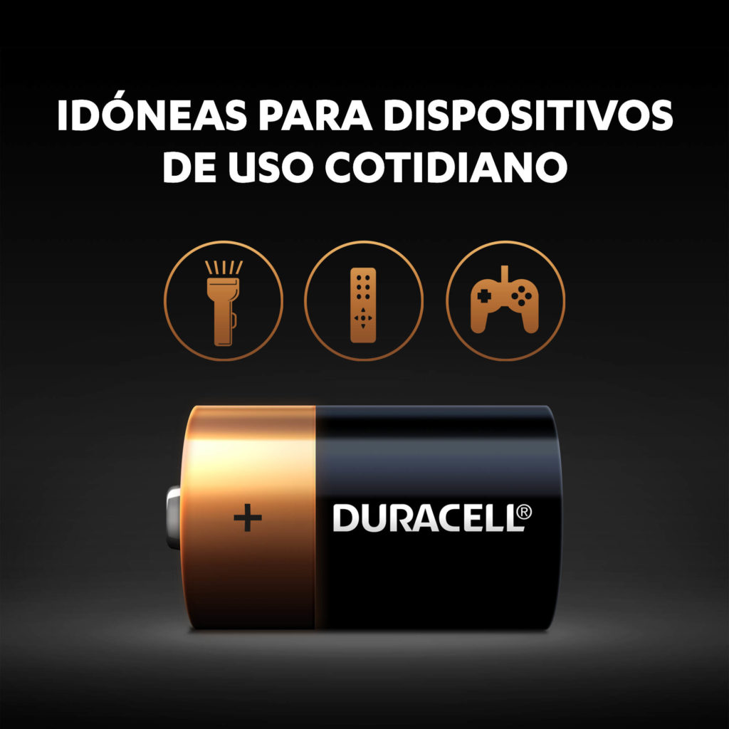Duracell Pilas alcalinas D Coppertop (10 unidades)